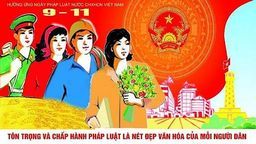 Tìm hiểu về ngày Pháp luật Việt Nam 09/11