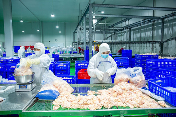 Trường Tiểu học Ba Đình: Đảm bảo an toàn bữa ăn học đường