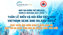 Trường Tiểu học Ba Đình: Hưởng ứng tuần lễ Biển và hải đảo Việt Nam và  ngày Đại dương thế giới năm 2022
