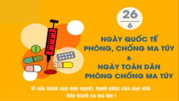 Trường Tiểu học Ba Đình hưởng ứng tuyên truyền: “Tháng hành động phòng, chống ma túy” và “Ngày toàn dân phòng, chống ma túy 26/6”
