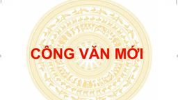 Công văn 1535 /BYT-DP ngày 28/3/2022 của Bộ Y Tế V/v tiêm vắc xin phòng COVID -19 cho trẻ từ 5 đến dưới 12 tuổi