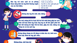 Hội đồng Đội Thành phố Hà Nôi triển khai Chiến dịch "An toàn khi tới trường"