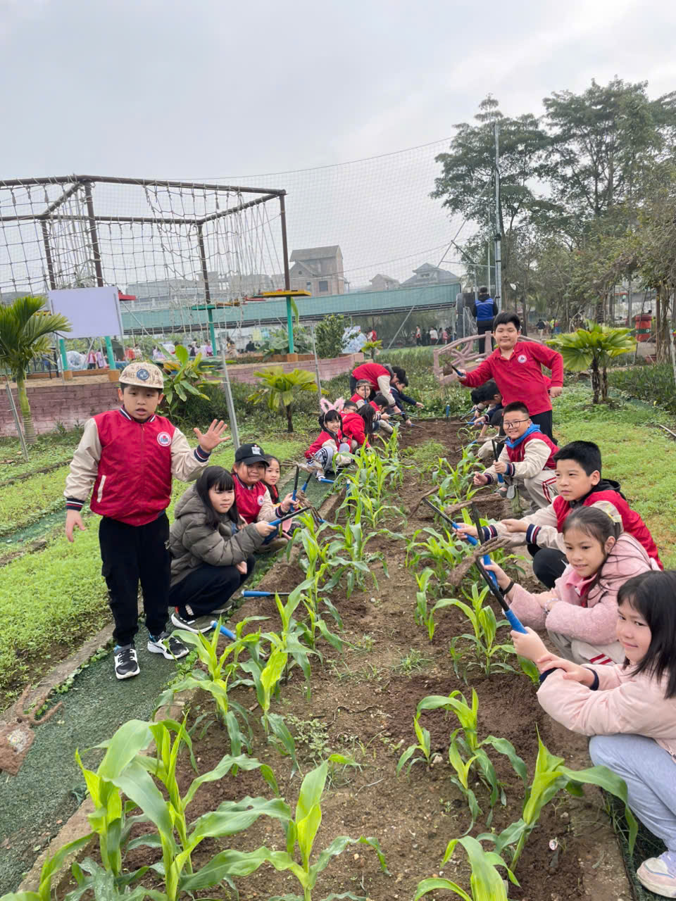 A group of people in a garden

AI-generated content may be incorrect.