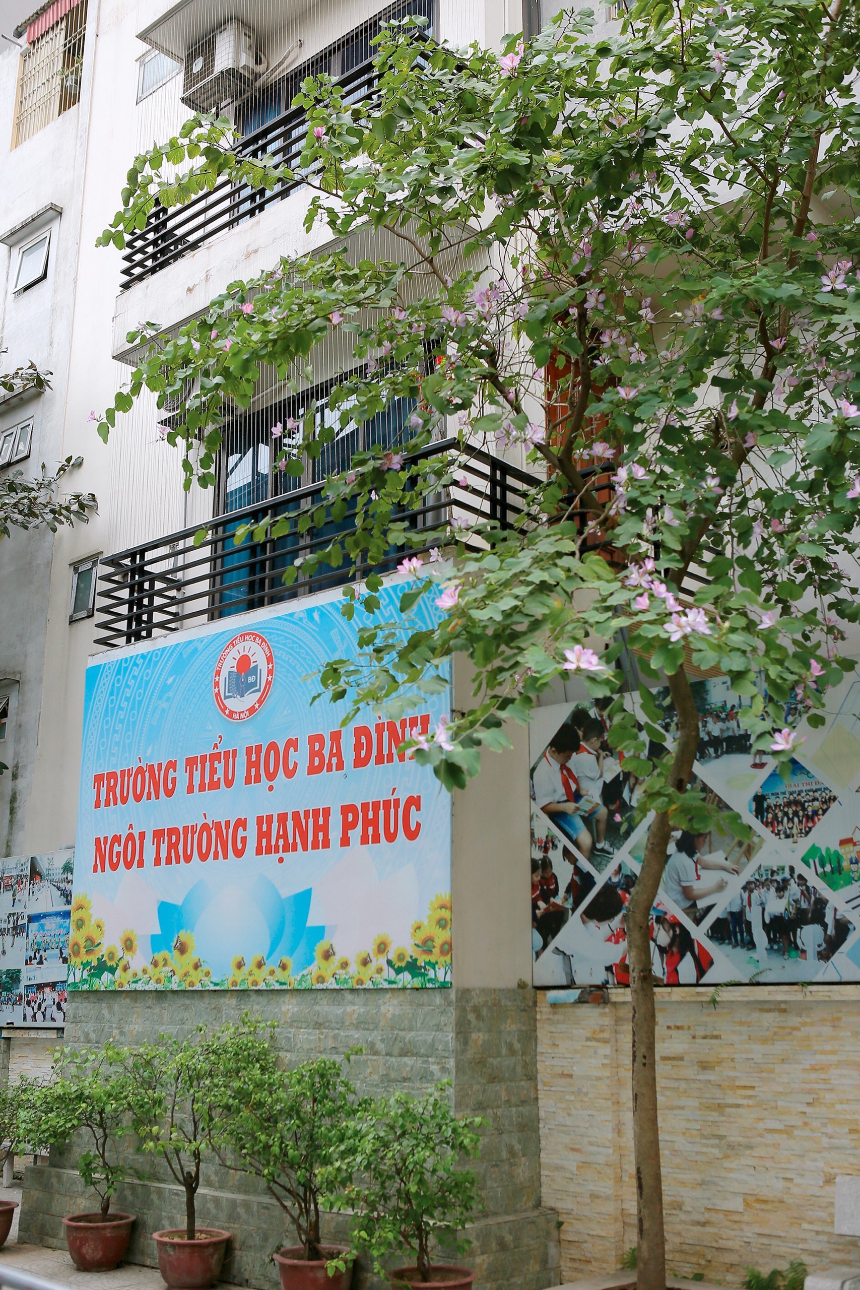 Tiểu học Ba Đình - “Ngôi trường xanh, sạch, đẹp, thân thiện”